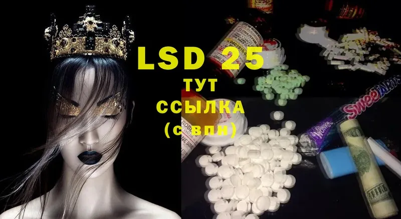 LSD-25 экстази ecstasy  где найти   Дальнегорск 